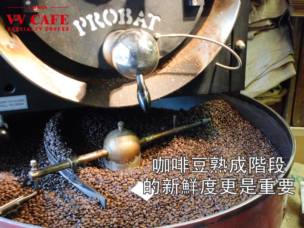 咖啡豆熟成階段的新鮮度