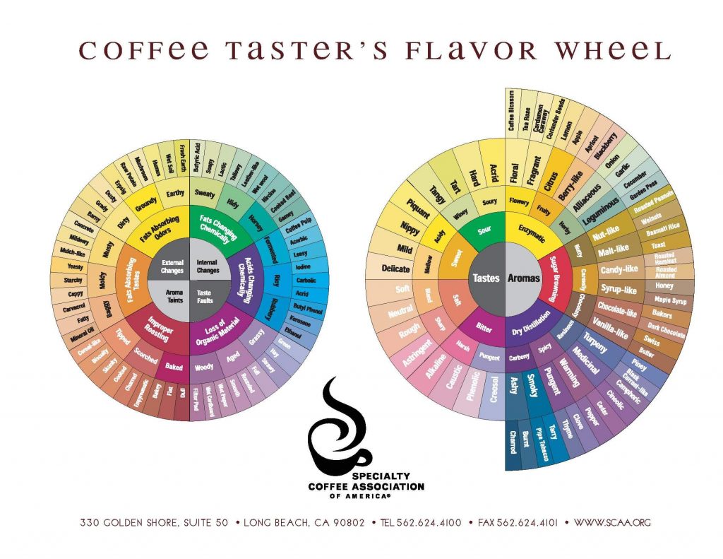 SCAA Poster Coffee Tasters Flavor Wheel